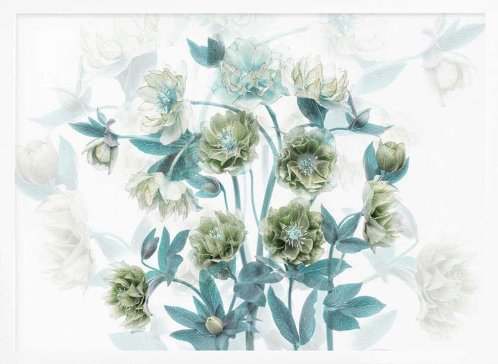 Aqua Green Blooms - Floral Photographic Stretched Canvas Poster or Fine Art Print