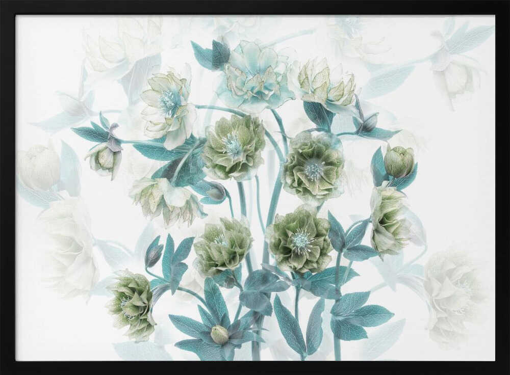 Aqua Green Blooms - Floral Photographic Stretched Canvas Poster or Fine Art Print