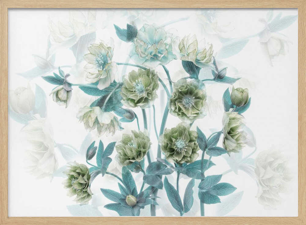 Aqua Green Blooms - Floral Photographic Stretched Canvas Poster or Fine Art Print
