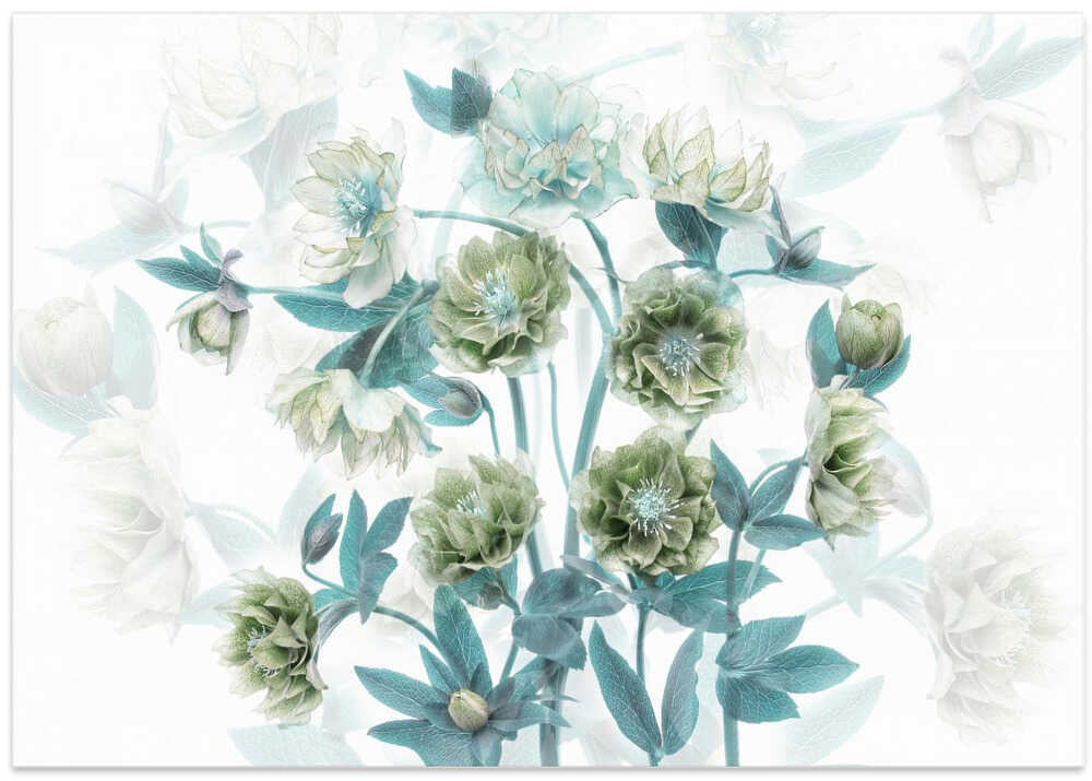 Aqua Green Blooms - Floral Photographic Stretched Canvas Poster or Fine Art Print