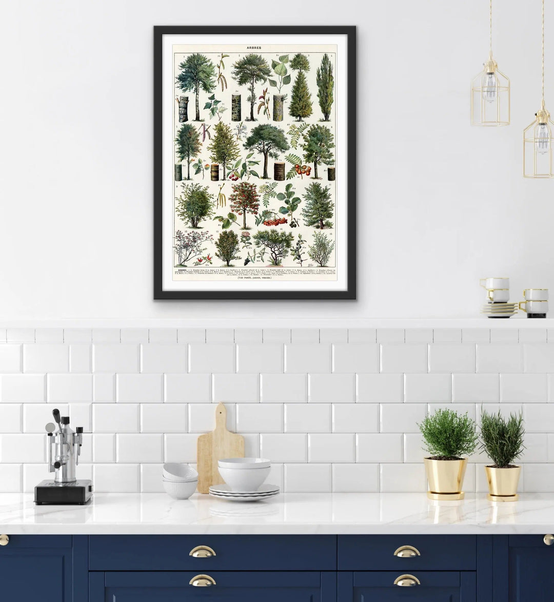 Jardins Arbres III Vintage Scientific Chart - Stretched Canvas Print or Framed Fine Art Print - Artwork I Heart Wall Art Australia