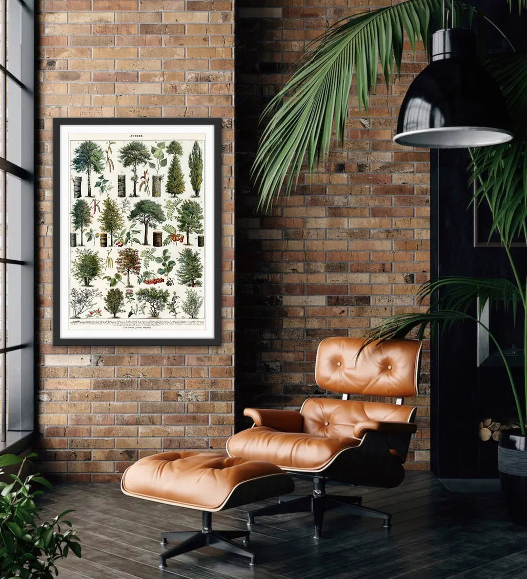 Jardins Arbres III Vintage Scientific Chart - Stretched Canvas Print or Framed Fine Art Print - Artwork I Heart Wall Art Australia