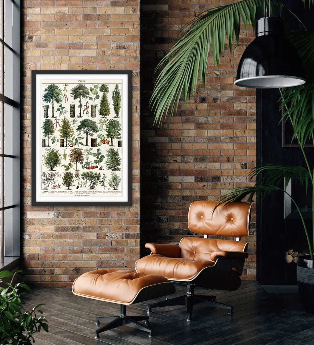 Jardins Arbres III Vintage Scientific Chart - Stretched Canvas Print or Framed Fine Art Print - Artwork I Heart Wall Art Australia