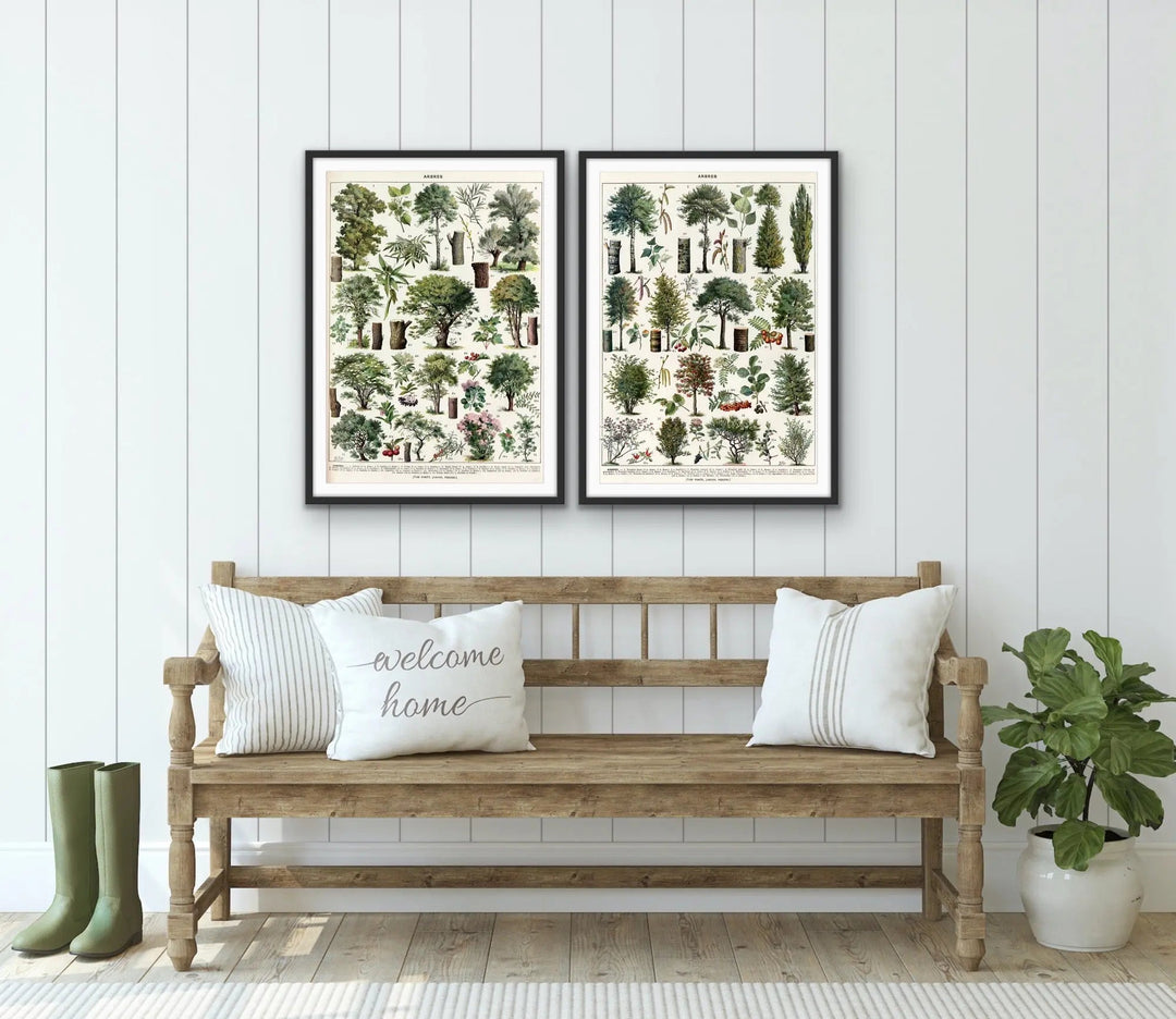 Arbres - Two Piece Vintage Tree Illustration Set by Adolphe Millett- Stretched Canvas or Art Print Set Diptych I Heart Wall Art Australia