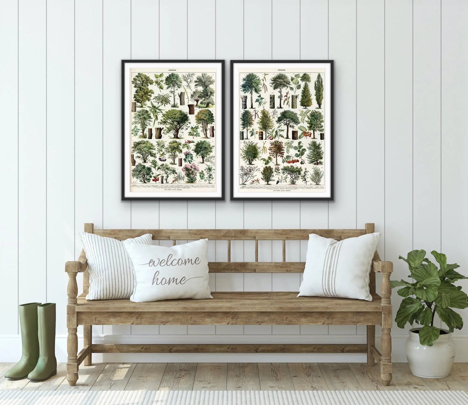 Arbres - Two Piece Vintage Tree Illustration Set by Adolphe Millett- Stretched Canvas or Art Print Set Diptych I Heart Wall Art Australia
