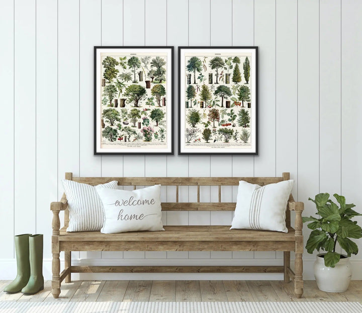 Arbres - Two Piece Vintage Tree Illustration Set by Adolphe Millett- Stretched Canvas or Art Print Set Diptych I Heart Wall Art Australia