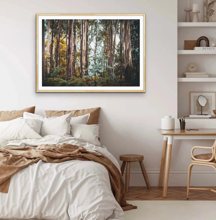 Australian Alpine Forest - Australian Nature Photographic Print - I Heart Wall Art - Poster Print, Canvas Print or Framed Art Print