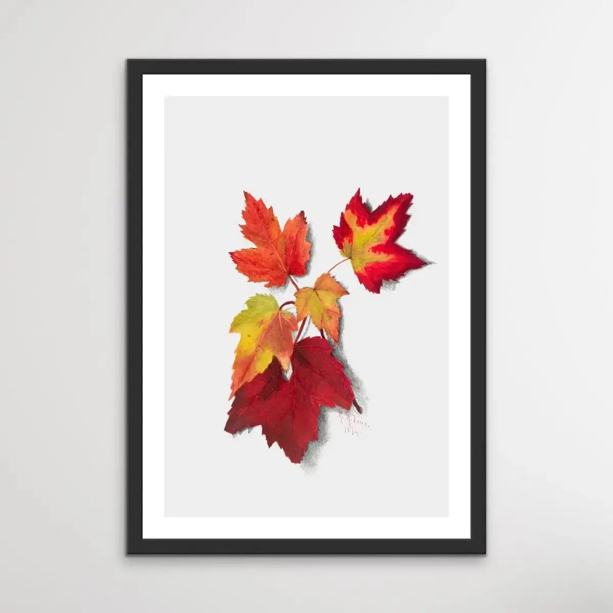 Autumn Leaves I (1874) by Mary Vaux Walcott - I Heart Wall Art - Poster Print, Canvas Print or Framed Art Print