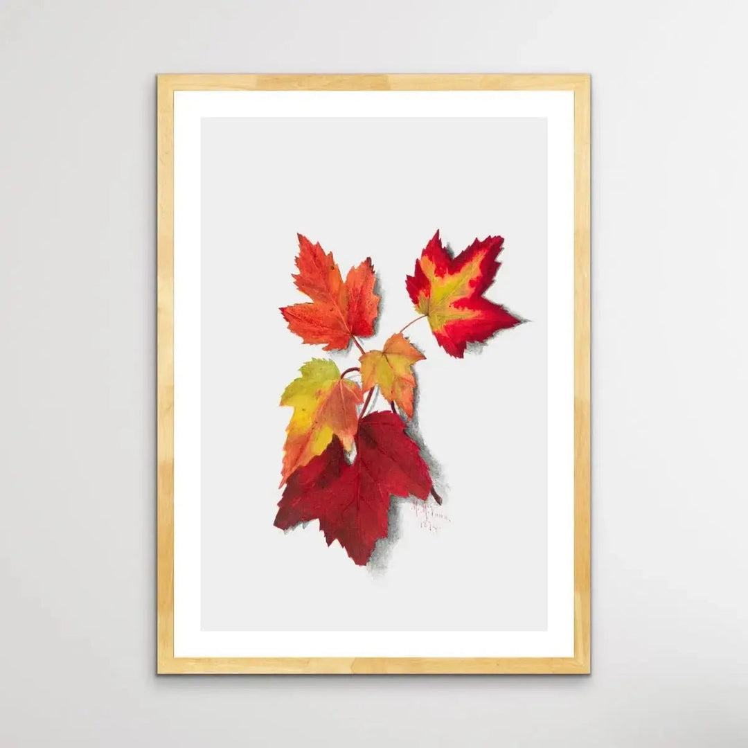 Autumn Leaves I (1874) by Mary Vaux Walcott - I Heart Wall Art - Poster Print, Canvas Print or Framed Art Print
