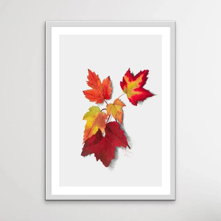 Autumn Leaves I (1874) by Mary Vaux Walcott - I Heart Wall Art - Poster Print, Canvas Print or Framed Art Print