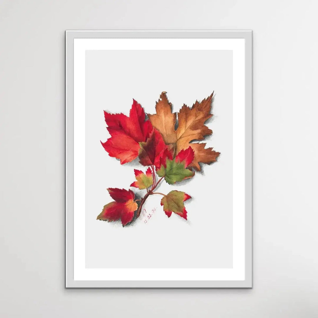 Autumn Leaves II (1874) by Mary Vaux Walcott - I Heart Wall Art - Poster Print, Canvas Print or Framed Art Print