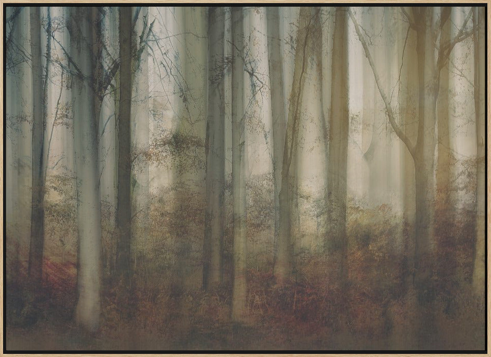 Autumn light - Stretched Canvas, Poster or Fine Art Print I Heart Wall Art