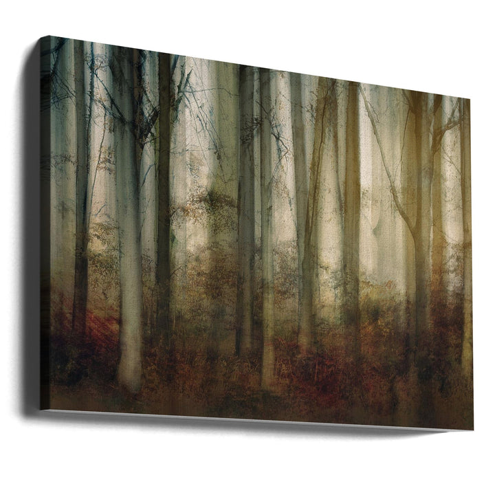 Autumn light - Stretched Canvas, Poster or Fine Art Print I Heart Wall Art