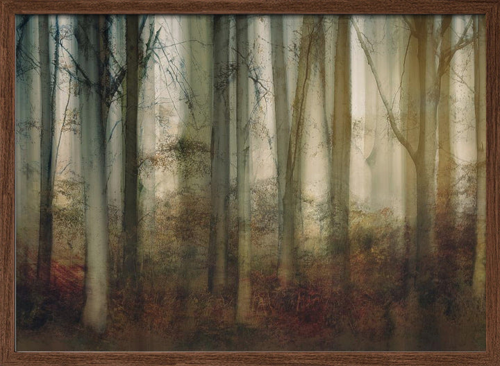 Autumn light - Stretched Canvas, Poster or Fine Art Print I Heart Wall Art