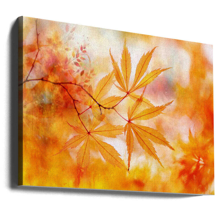 Autumn Maple Glow - Floral Photographic Stretched Canvas Poster or Fine Art Print