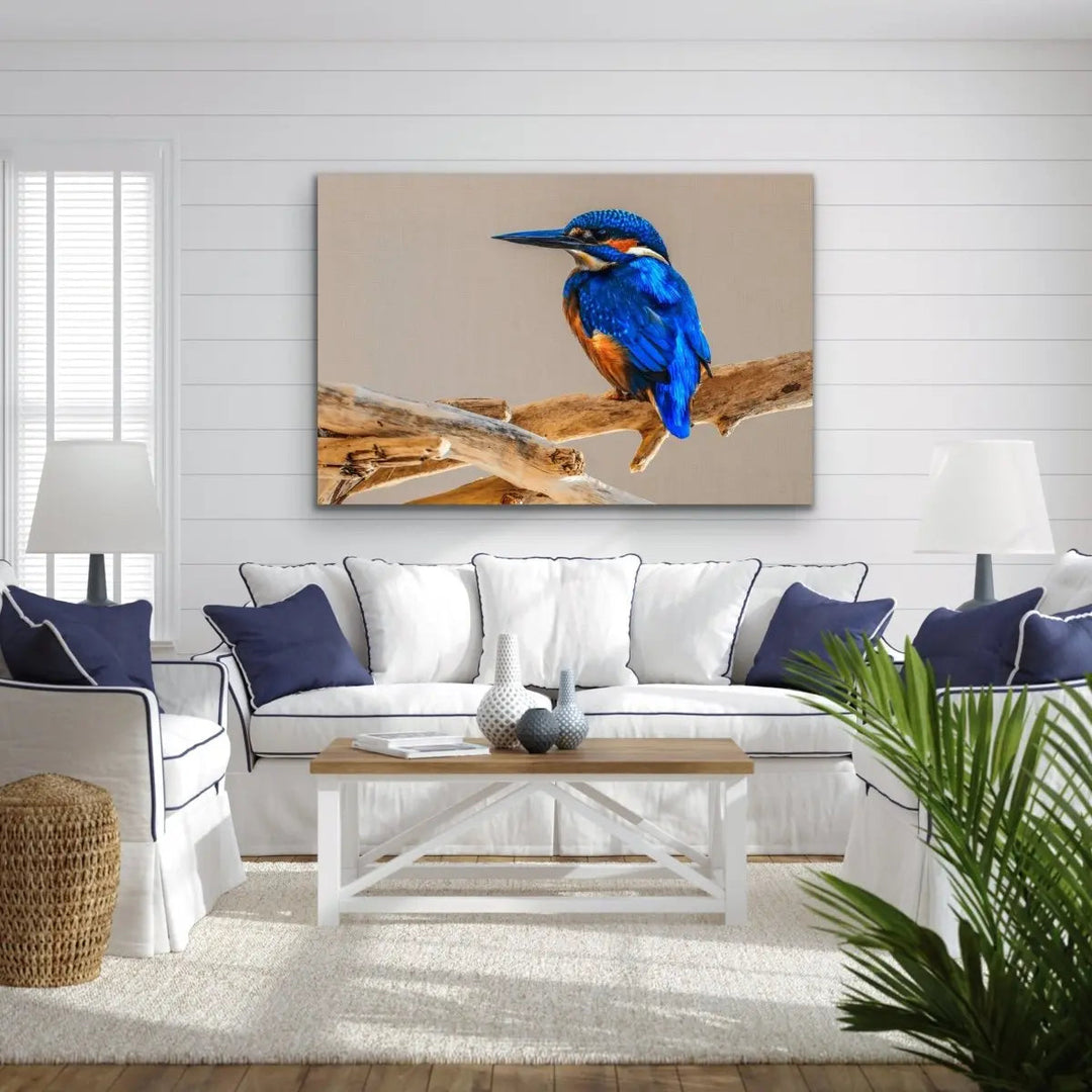 Azure Kingfisher- Blue Australian Bird Canvas And Art Print - I Heart Wall Art - Poster Print, Canvas Print or Framed Art Print