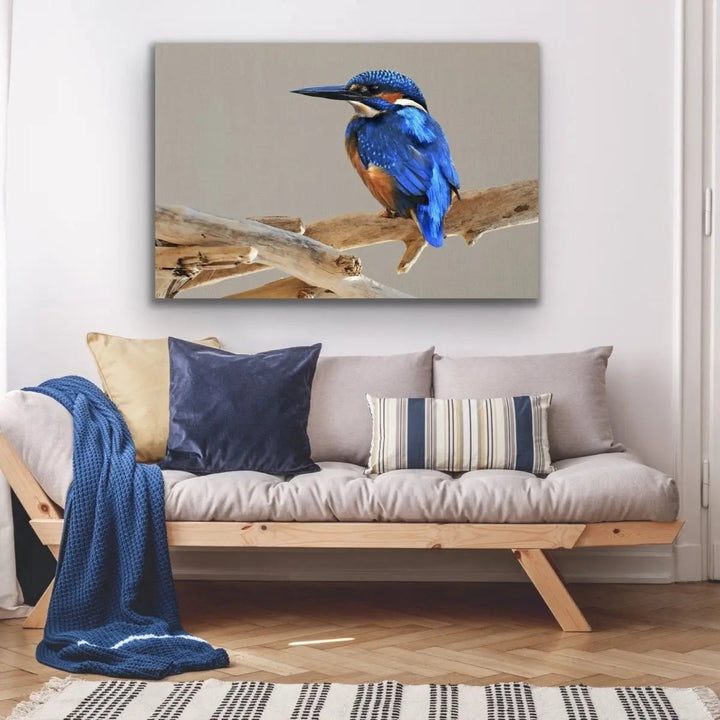 Azure Kingfisher- Blue Australian Bird Canvas And Art Print - I Heart Wall Art - Poster Print, Canvas Print or Framed Art Print