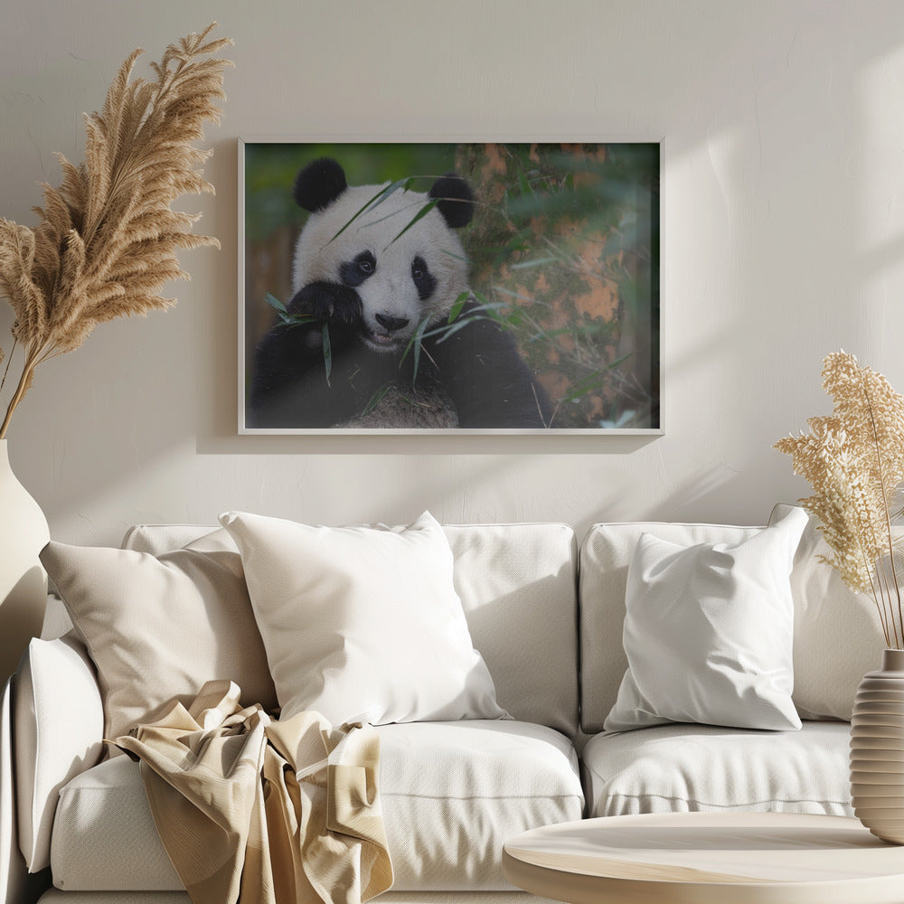 Bamboo Time - Stretched Canvas, Poster or Fine Art Print I Heart Wall Art