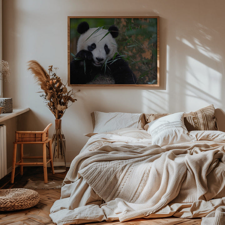 Bamboo Time - Stretched Canvas, Poster or Fine Art Print I Heart Wall Art