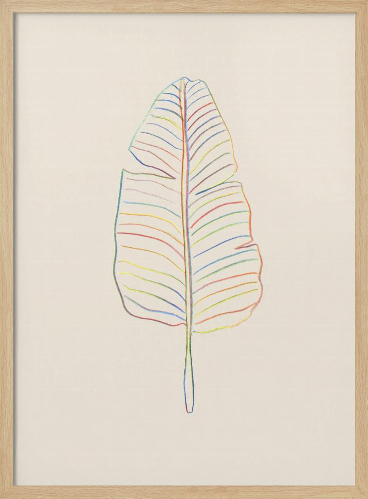 Banana Rainbow Leaf - Stretched Canvas, Poster or Fine Art Print I Heart Wall Art