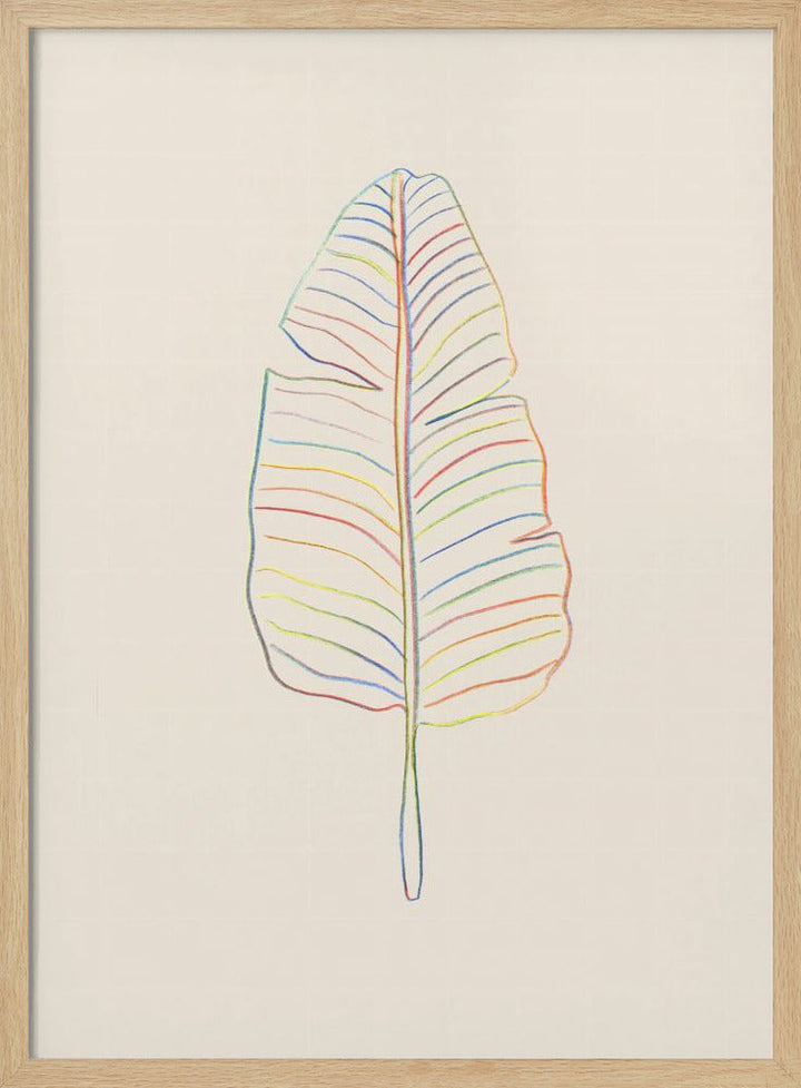 Banana Rainbow Leaf - Stretched Canvas, Poster or Fine Art Print I Heart Wall Art