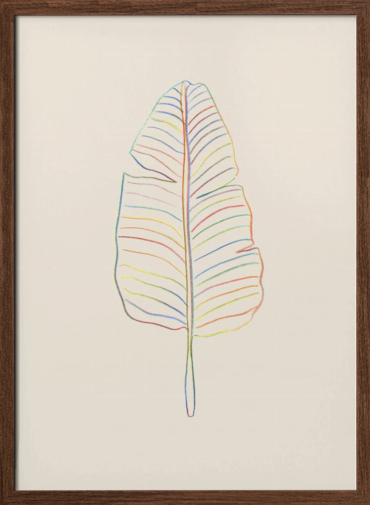 Banana Rainbow Leaf - Stretched Canvas, Poster or Fine Art Print I Heart Wall Art