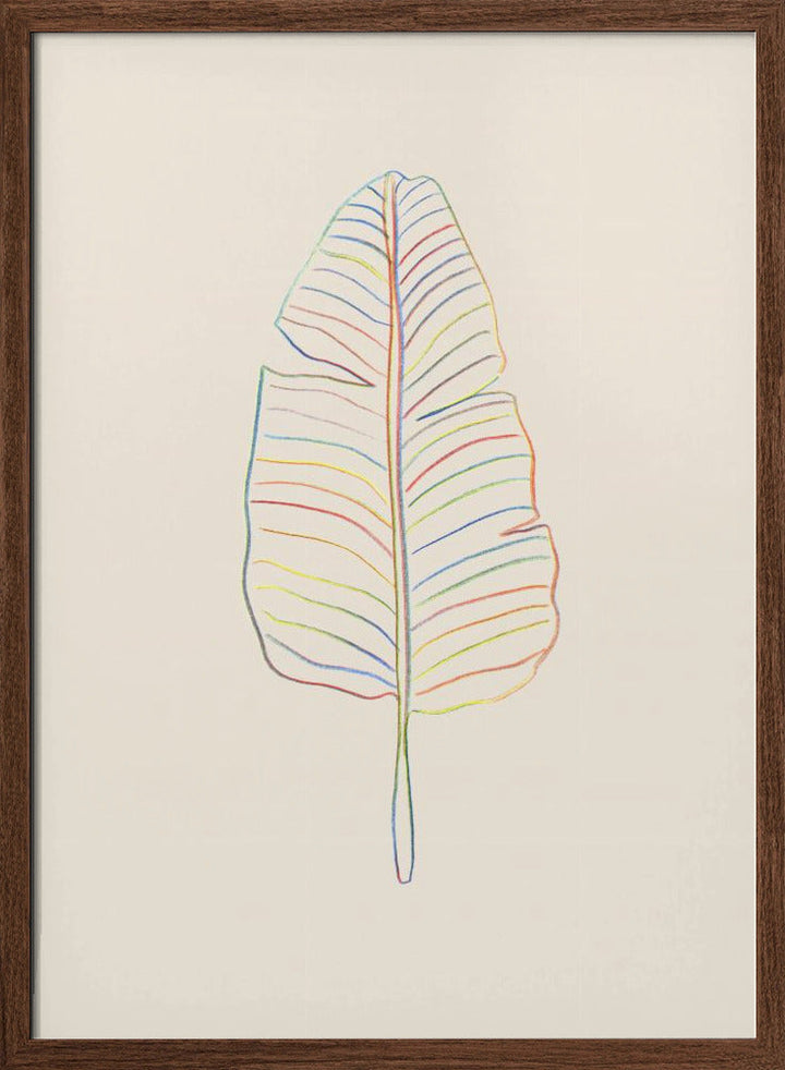 Banana Rainbow Leaf - Stretched Canvas, Poster or Fine Art Print I Heart Wall Art