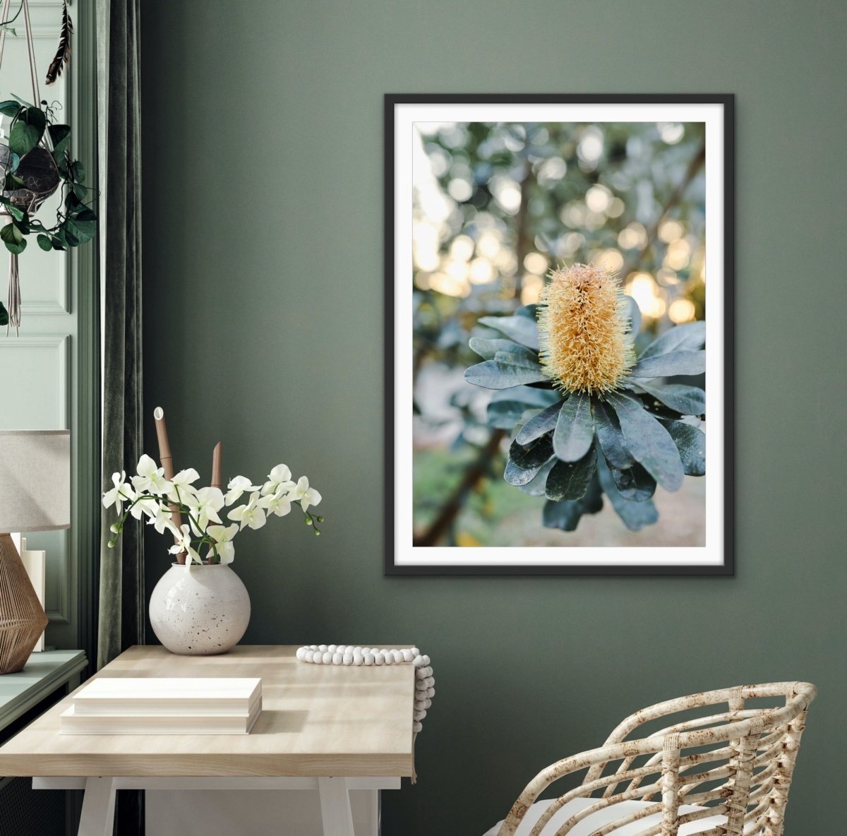 Banksia At Sunset by Edwina Cameron - Australian Nature Photographic Print - I Heart Wall Art - Poster Print, Canvas Print or Framed Art Print