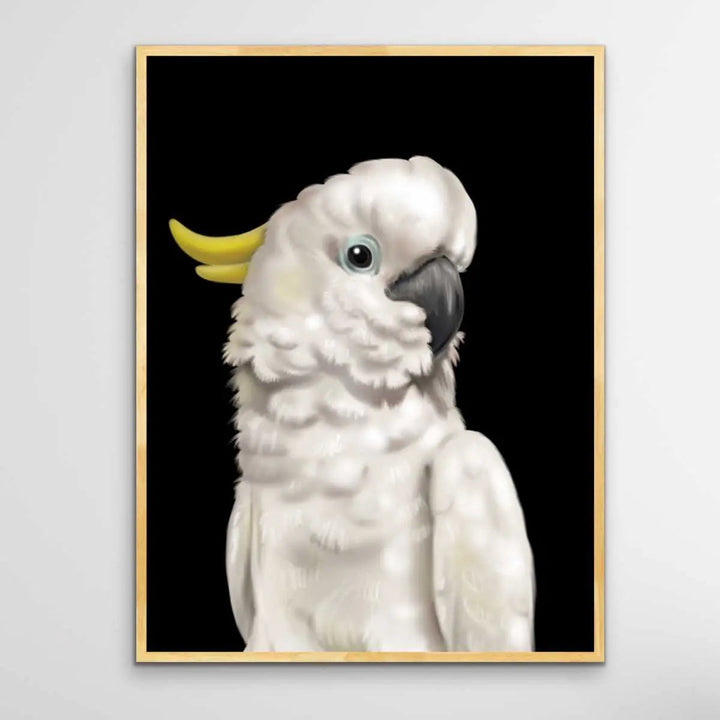 Barry The Sulphur Crested Cockatoo - Barry The Sulphur Crested Cockatoo Wall Art Print Stretched Canvas Wall Art - I Heart Wall Art - Poster Print, Canvas Print or Framed Art Print
