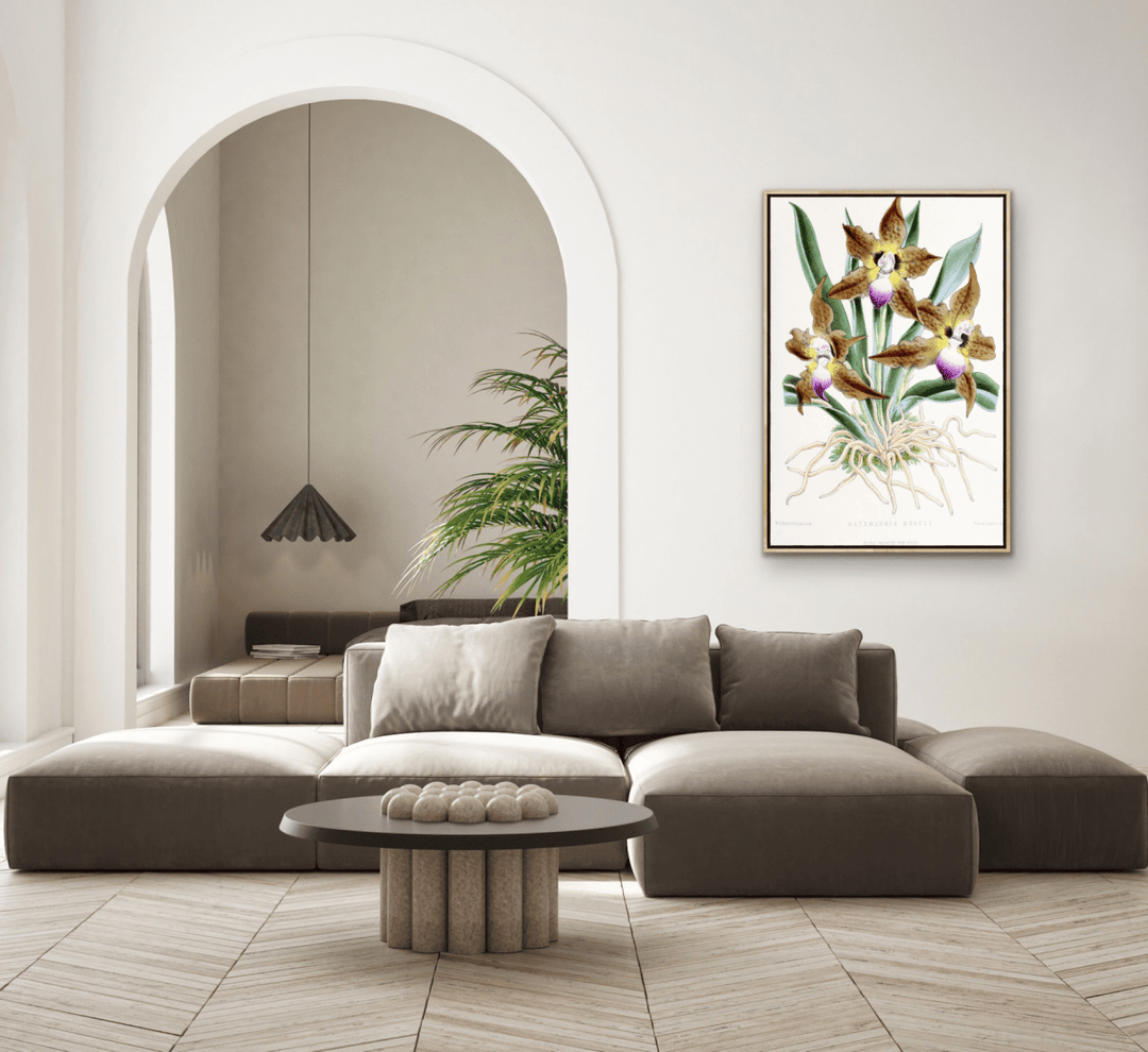 Batemannia Burtii Orchid from The Floral Magazine (1861 - 1881) by Worthington G. Smith, John N. Fitch and Walter H. Fitch - Botanical Illustration Stretched Canvas or Wall Art Print - I Heart Wall Art - Poster Print, Canvas Print or Framed Art Print