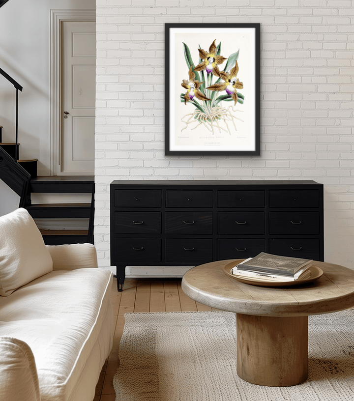 Batemannia Burtii Orchid from The Floral Magazine (1861 - 1881) by Worthington G. Smith, John N. Fitch and Walter H. Fitch - Botanical Illustration Stretched Canvas or Wall Art Print - I Heart Wall Art - Poster Print, Canvas Print or Framed Art Print