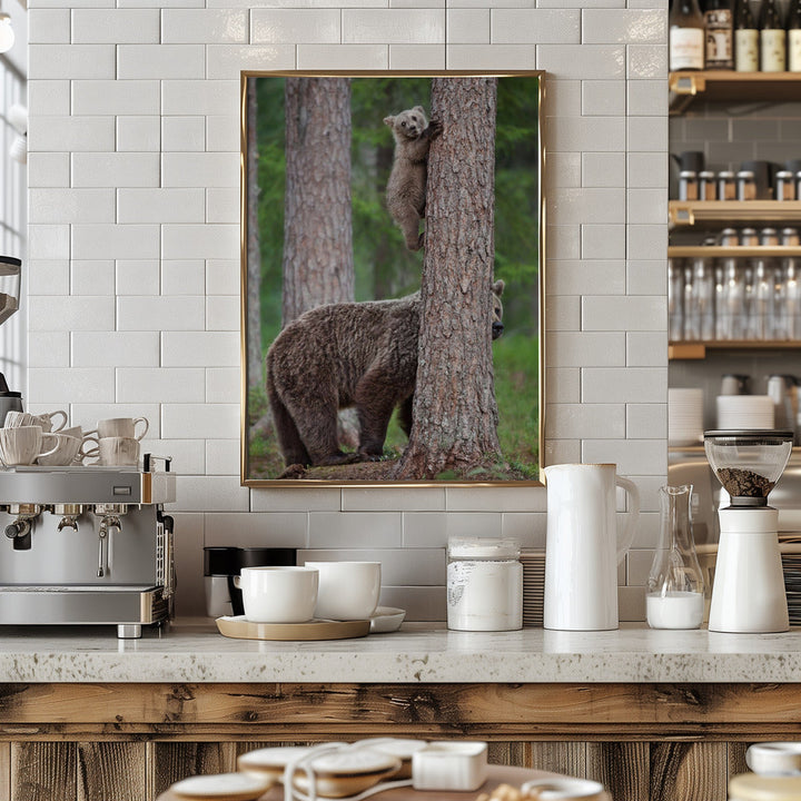 Be Carefully ! - Stretched Canvas, Poster or Fine Art Print I Heart Wall Art