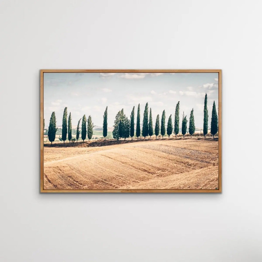 Beautiful Tuscany - Italian Landscape Art Print Stretched Canvas Wall Art - I Heart Wall Art - Poster Print, Canvas Print or Framed Art Print