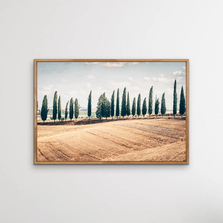 Beautiful Tuscany - Italian Landscape Art Print Stretched Canvas Wall Art - I Heart Wall Art - Poster Print, Canvas Print or Framed Art Print