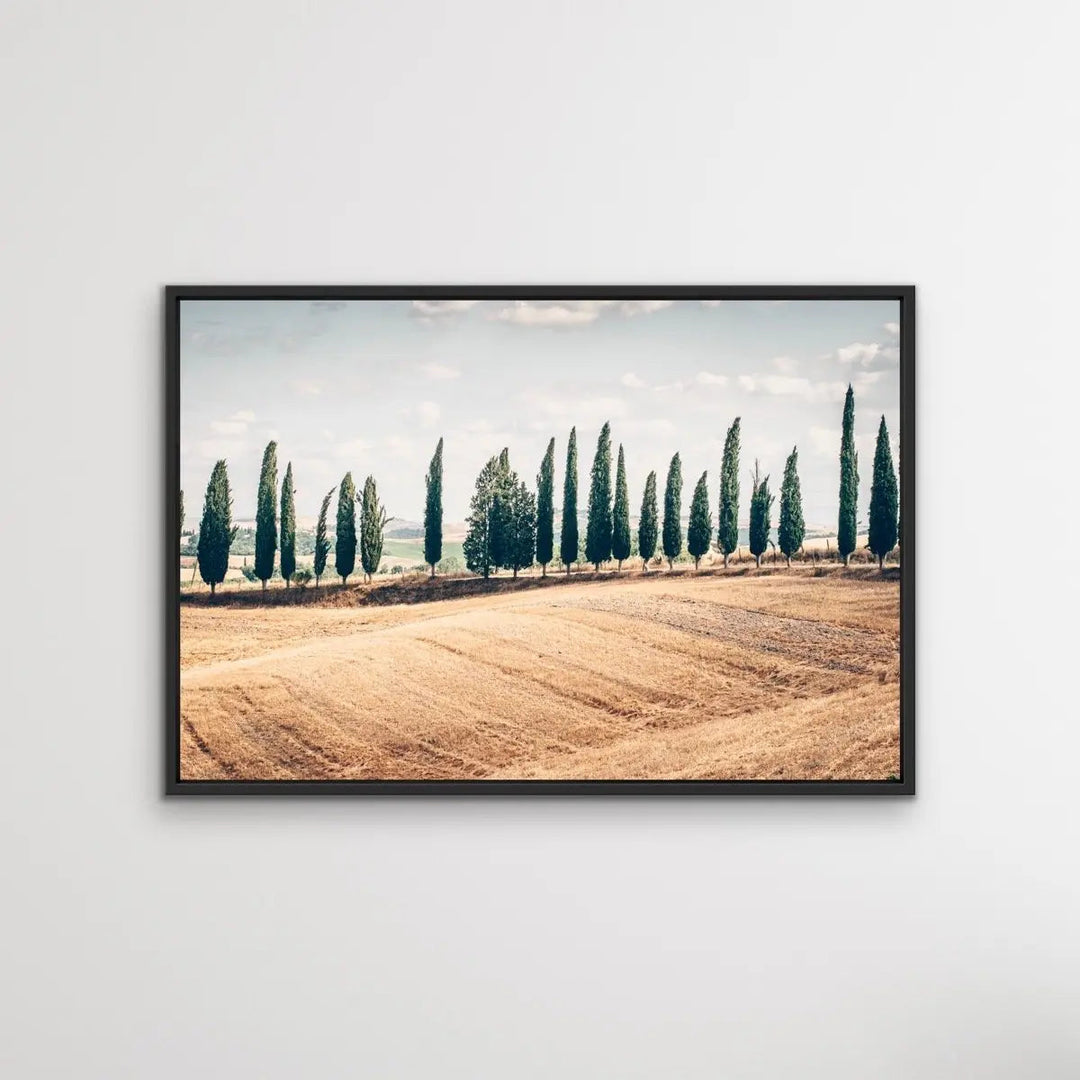 Beautiful Tuscany - Italian Landscape Art Print Stretched Canvas Wall Art - I Heart Wall Art - Poster Print, Canvas Print or Framed Art Print