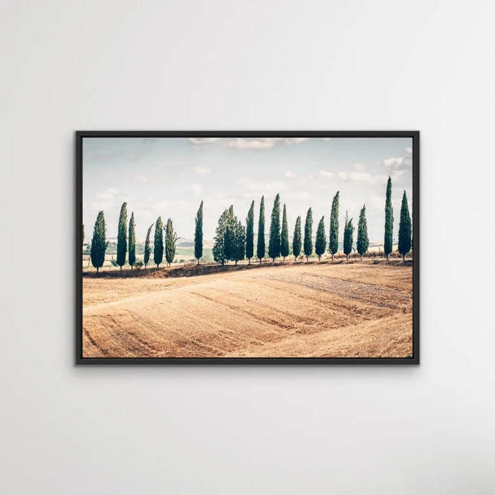 Beautiful Tuscany - Italian Landscape Art Print Stretched Canvas Wall Art - I Heart Wall Art - Poster Print, Canvas Print or Framed Art Print
