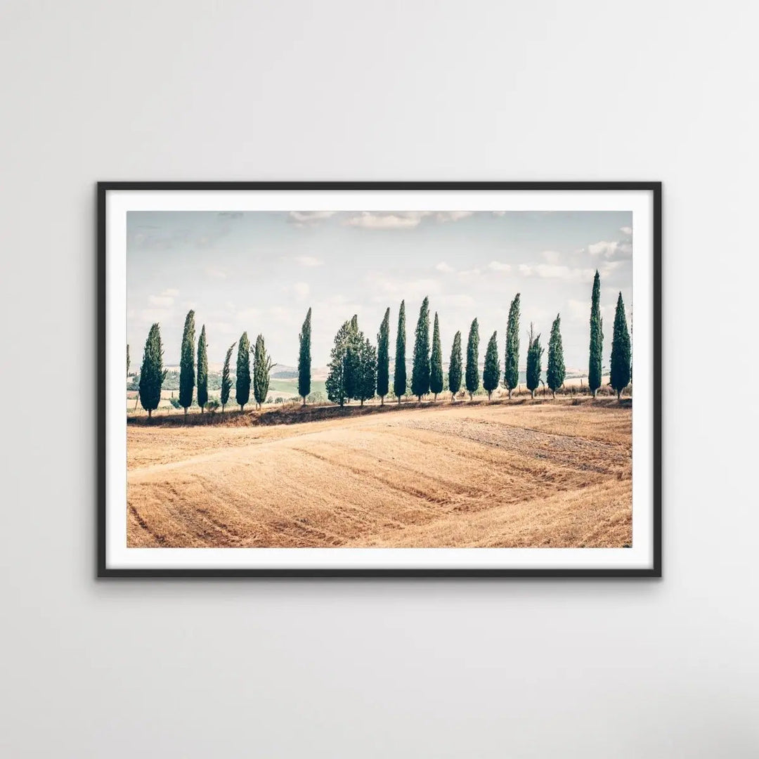 Beautiful Tuscany - Italian Landscape Art Print Stretched Canvas Wall Art - I Heart Wall Art - Poster Print, Canvas Print or Framed Art Print