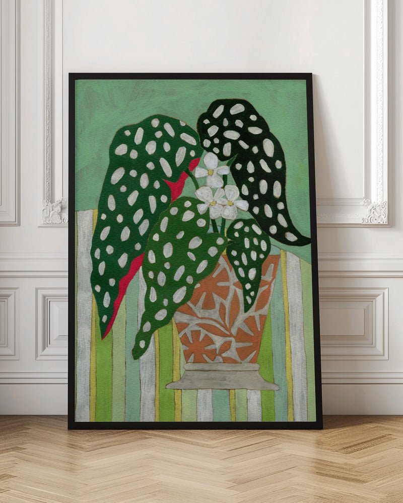 Begonia Maculata - Stretched Canvas, Poster or Fine Art Print - I Heart Wall Art - Poster Print, Canvas Print or Framed Art Print