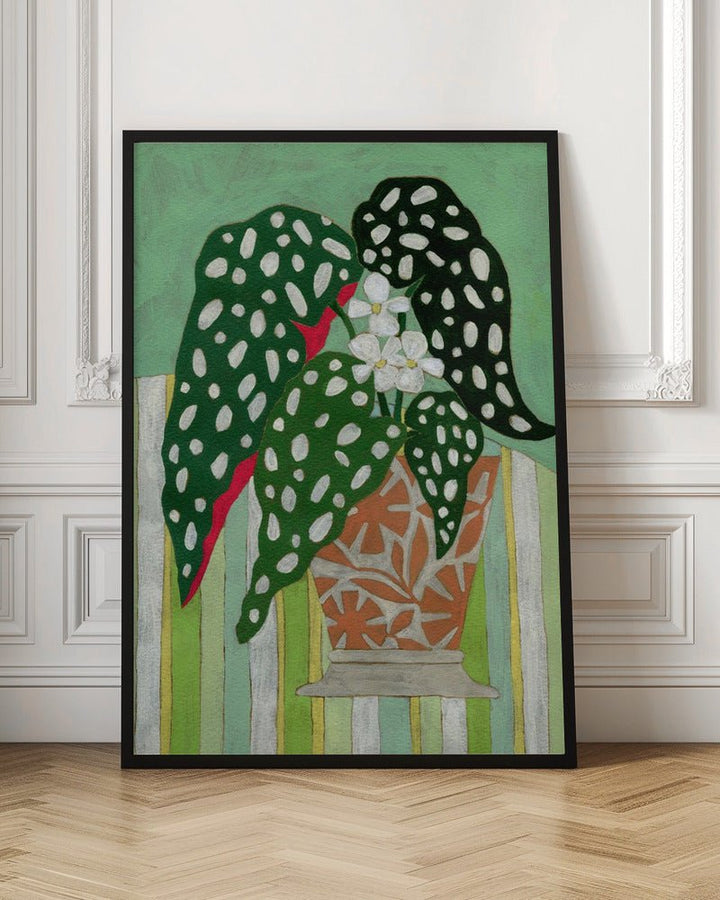 Begonia Maculata - Stretched Canvas, Poster or Fine Art Print - I Heart Wall Art - Poster Print, Canvas Print or Framed Art Print