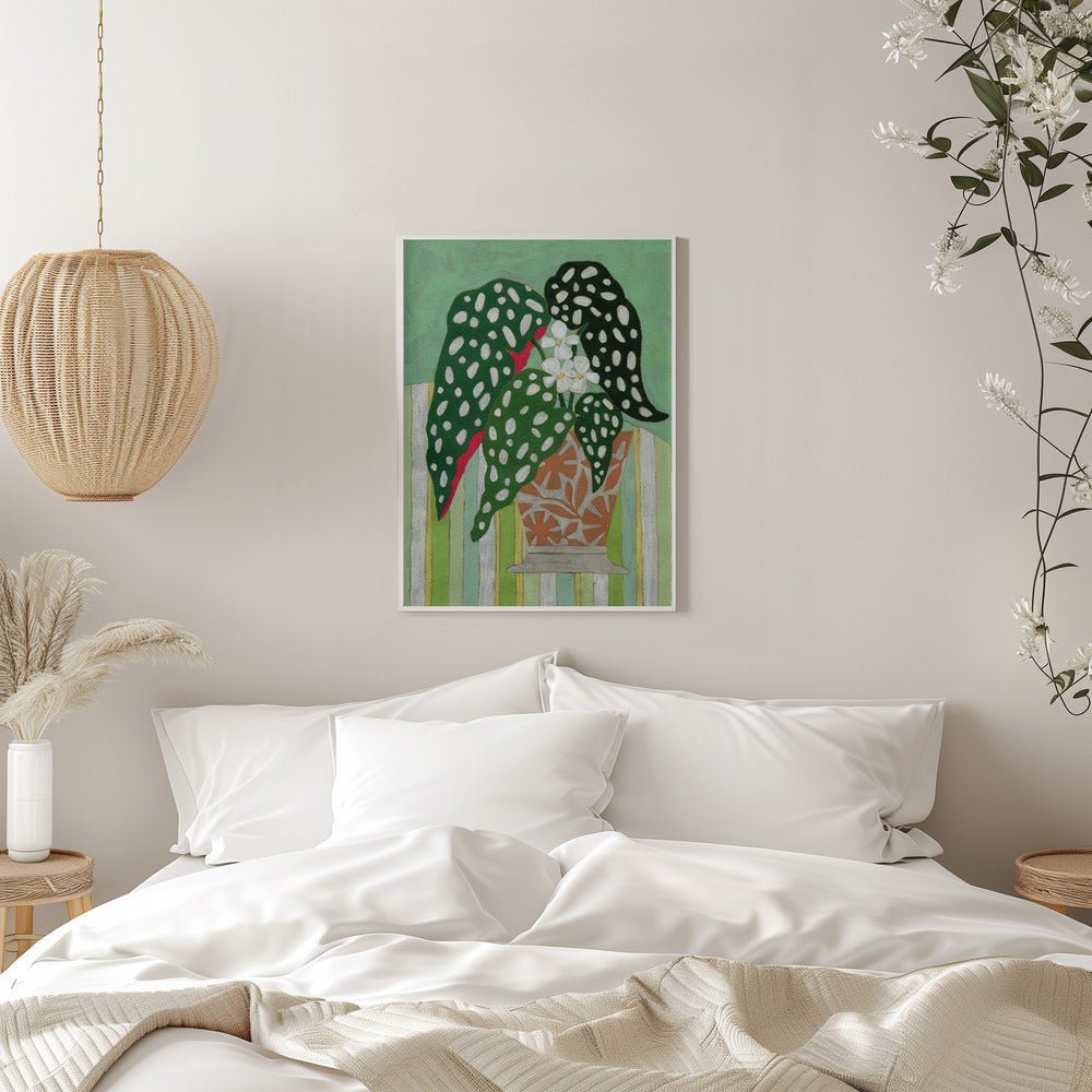 Begonia Maculata - Stretched Canvas, Poster or Fine Art Print - I Heart Wall Art - Poster Print, Canvas Print or Framed Art Print