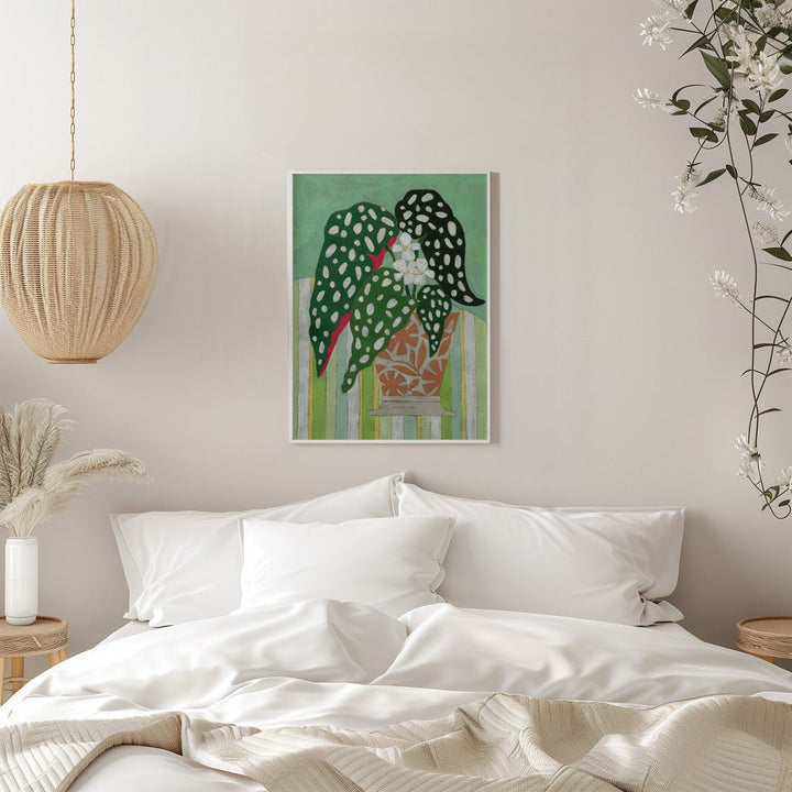 Begonia Maculata - Stretched Canvas, Poster or Fine Art Print - I Heart Wall Art - Poster Print, Canvas Print or Framed Art Print