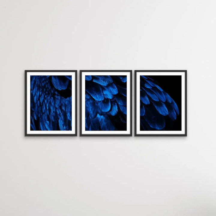 Birds Of A Feather - Three Piece Blue Feather Photographic Art Print Set Triptych - I Heart Wall Art - Poster Print, Canvas Print or Framed Art Print