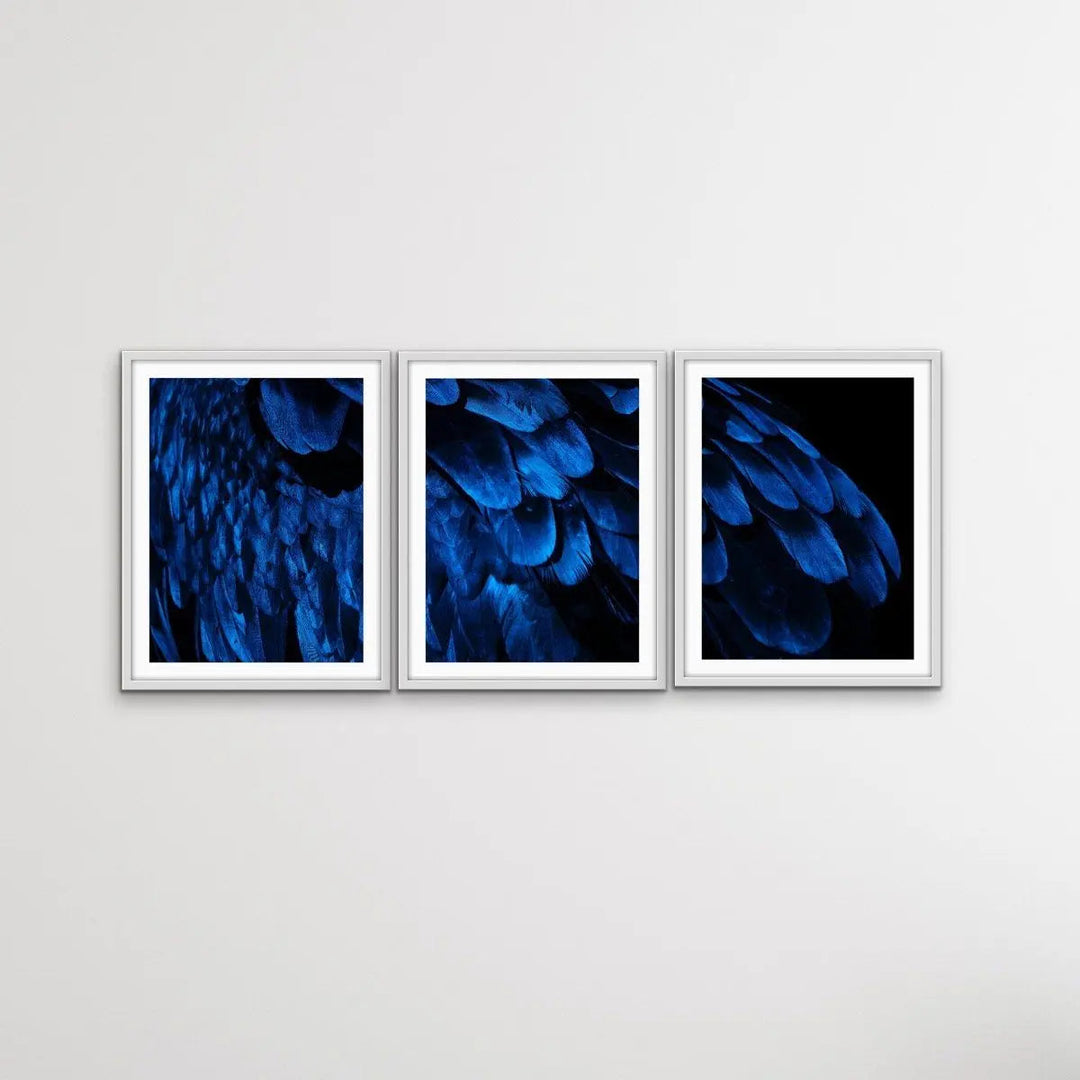 Birds Of A Feather - Three Piece Blue Feather Photographic Art Print Set Triptych - I Heart Wall Art - Poster Print, Canvas Print or Framed Art Print