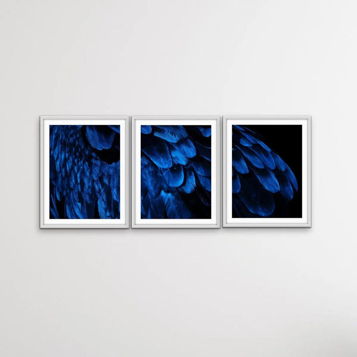 Birds Of A Feather - Three Piece Blue Feather Photographic Art Print Set Triptych - I Heart Wall Art - Poster Print, Canvas Print or Framed Art Print