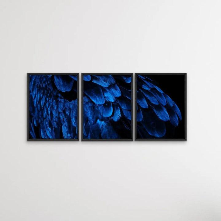 Birds Of A Feather - Three Piece Blue Feather Photographic Art Print Set Triptych - I Heart Wall Art - Poster Print, Canvas Print or Framed Art Print