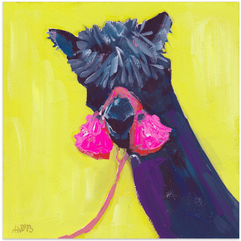 Black Alpaca - Square Stretched Canvas, Poster or Fine Art Print I Heart Wall Art
