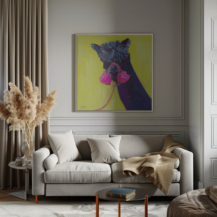 Black Alpaca - Square Stretched Canvas, Poster or Fine Art Print I Heart Wall Art