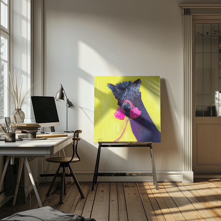 Black Alpaca - Square Stretched Canvas, Poster or Fine Art Print I Heart Wall Art