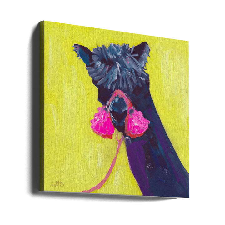 Black Alpaca - Square Stretched Canvas, Poster or Fine Art Print I Heart Wall Art