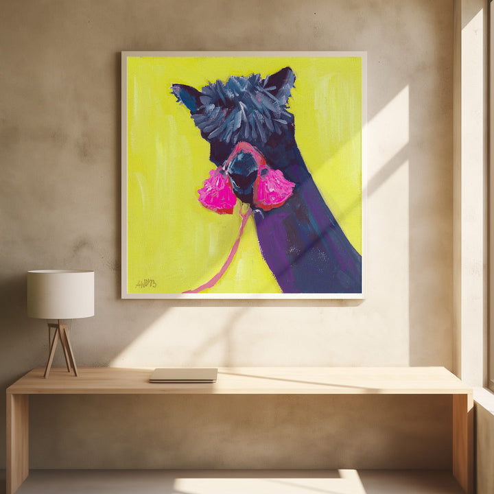 Black Alpaca - Square Stretched Canvas, Poster or Fine Art Print I Heart Wall Art